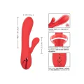 Palisades Passion Rot von Calexotics