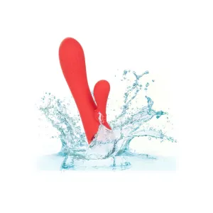 Palisades Passion Rot von Calexotics