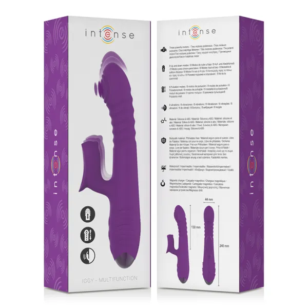 Iggy Multifunktions-Wiederaufladbarer Vibrator Up & Down mit Klitorelstimulator Lila von Intense Fun | Fesselliebe.de