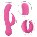 First Time Vibrator Rabbit wiederaufladbar Rosa von Calexotics | Fesselliebe.de