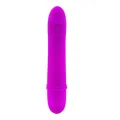 Flirtation Beck Vibrator von Pretty Love Flirtation