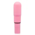 Taschenvibrator Rosa von Glossy