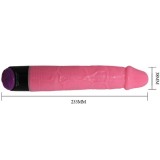 Bunter Sex Realistischer Vibrator Rosa 23 cm von Baile | Fesselliebe.de
