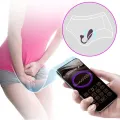 Fisherman App-Gesteuertes Vibrierendes Ei Lila von Pretty Love Smart