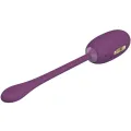 Doreen Purple wiederaufladbares Vibrations-Ei von Pretty Love Smart
