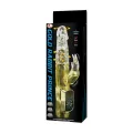 Us Rabbit Gold Prince von Baile Rotations