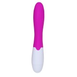 Flirtation Schnitziger Vibrator von Pretty Love Flirtation | Fesselliebe.de