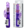 Persischer Elite Rabbit von Baile Rotations