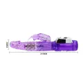 Persischer Elite Rabbit von Baile Rotations