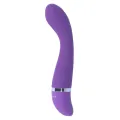 Leo Vibrator Lila Silikon Luxe von Intense Fun