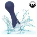 Charisma Temptation Massager 12 Funktionen Lila von Calexotics
