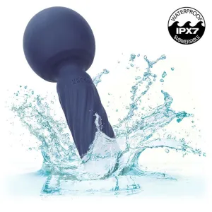 Charisma Seduction Massager 12 Funktionen 17,75 cm X 6,25 cm Lila von Calexotics