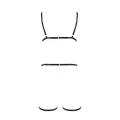 Schwarzes Harness Dress PA595766 von Passion Devil Collection