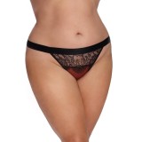 Dunkelroter Knickers mit Spitze AA052934 von Anais Apparel Plus Size | Fesselliebe.de