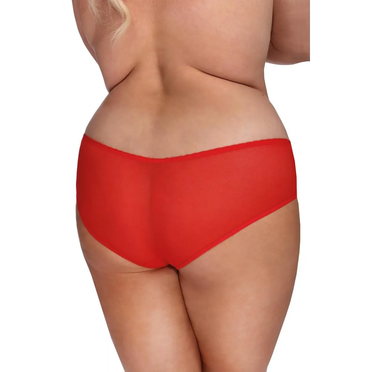 Roter Knickers mit Spitze AA052955 von Anais Apparel Plus Size | Fesselliebe.de