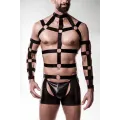 5-teilges Harness-Set 20050 von Grey Velvet