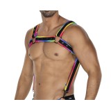 Mehrfarbiger Brust-Harness 05 von Cut4Men | Fesselliebe.de