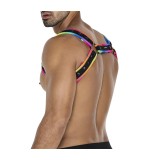 Mehrfarbiger Brust-Harness 05 von Cut4Men | Fesselliebe.de