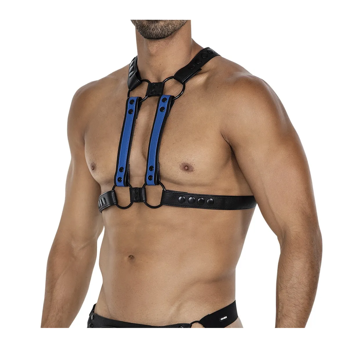Schwarz/blauer Brust-Harness 06 von Cut4Men | Fesselliebe.de