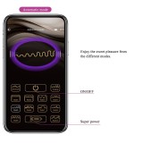 Klay Stoss-Ei-Vibrator, App-Steuerung, Lila von App Series