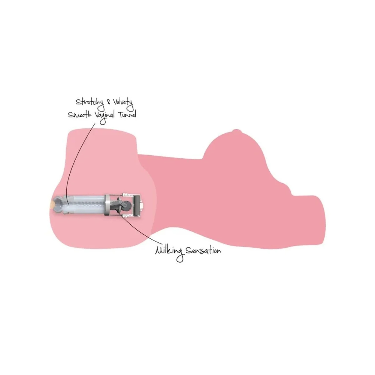 Geiler Melkenden Hühnchentorso Weiblicher Masturbator 10 Kg von Hidden Desire