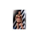 Scarlet 2er Set Bikini Rot von Passion-Exklusiv | Fesselliebe.de