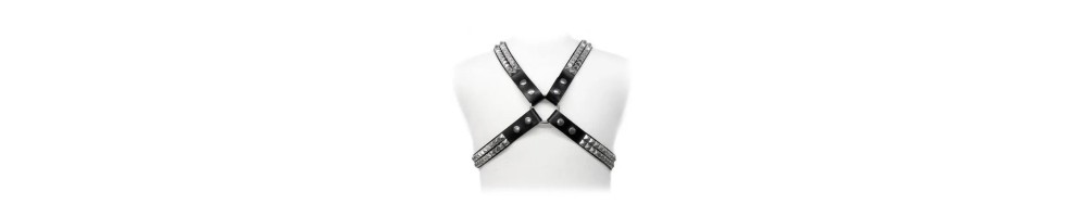 Bondage Harness bei Dessou24.de